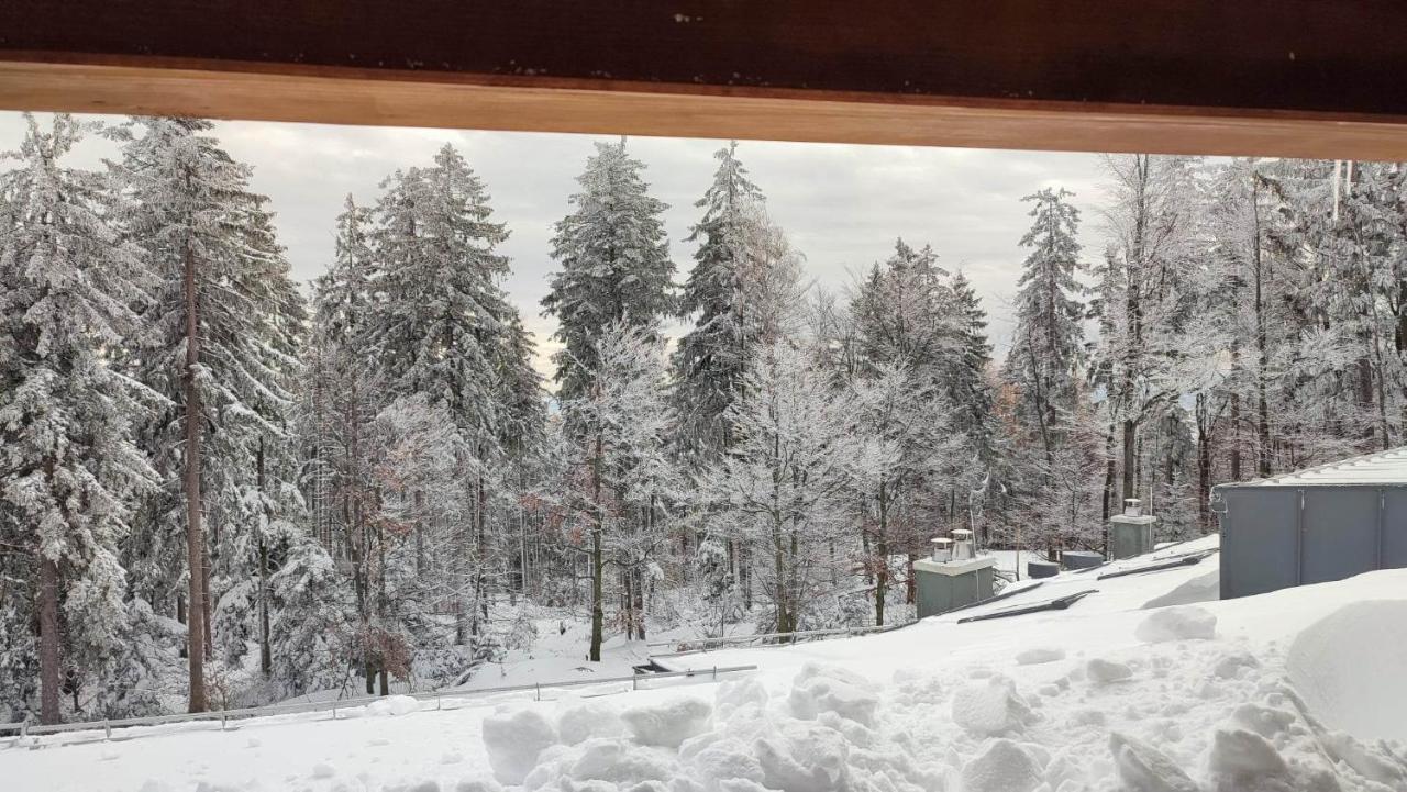 Pohorje Pearl Lux, 2-Floor Apartment Hočko Pohorje Екстериор снимка